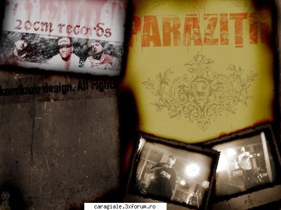 genuri muzica ascultati? parazitii