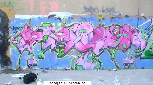graffiti ... arta sau vandalism ??? VeVe`Weed