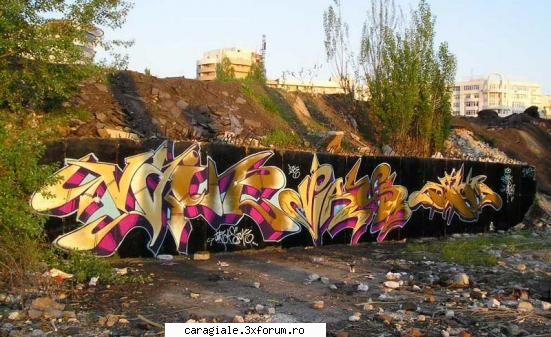 graffiti ... arta sau vandalism ??? VeVe`Weed