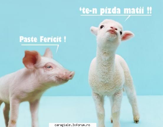 paste fericit !!! paste fericit pup :*:*:* Ms. Scandal