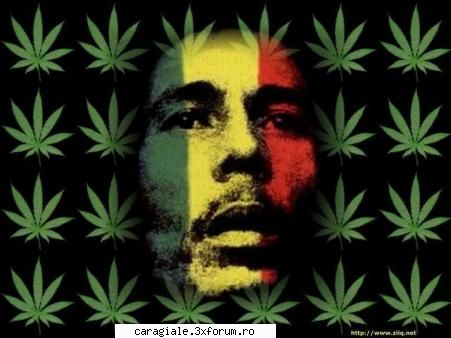 genuri muzica ascultati? VeVe`Weed