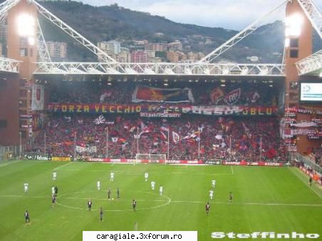 fenomenul ultras splendid A C A B