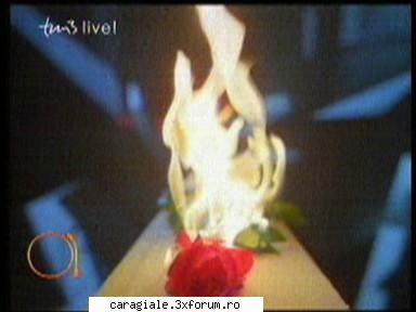 imagini care reprezinta dragostea