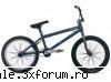 ...:::BMX'uri:::... - claudia_2pac_caragiale - Recycle Bin Laden