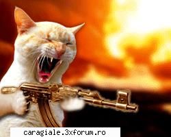 Cool avatars!!! - asta e tare !!! - Recycle Bin Laden