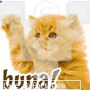 Cool avatars!!! - pai de fapt face asa - Recycle Bin Laden