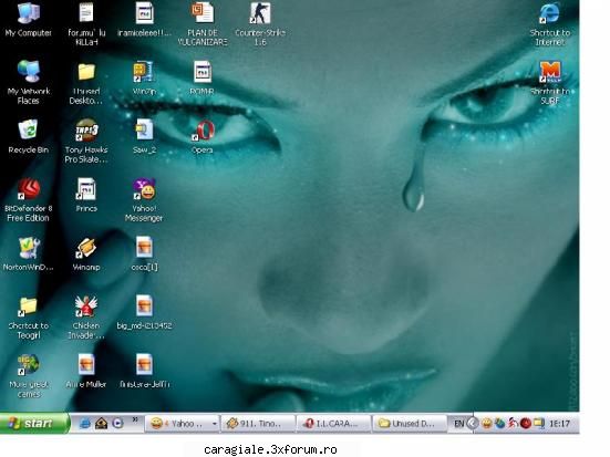 Desktop ... - Teutzza - Recycle Bin Laden