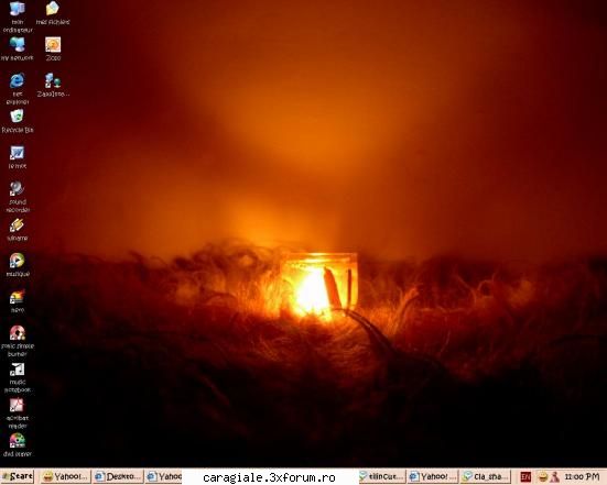 Desktop ... - samy - Recycle Bin Laden