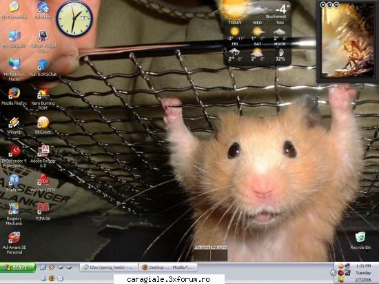 Desktop ... - adiz - Recycle Bin Laden