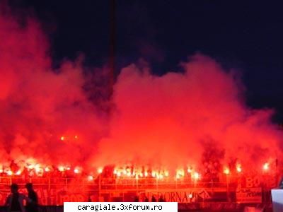 Fenomenul Ultras - cea mai tare galerie fara suparare: rapid - Recycle Bin Laden