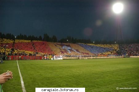 Fotbal - coregrafie steaua - Recycle Bin Laden