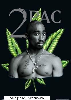 ID Yahoo Messenger - claudia_2pac.......evident - Recycle Bin Laden