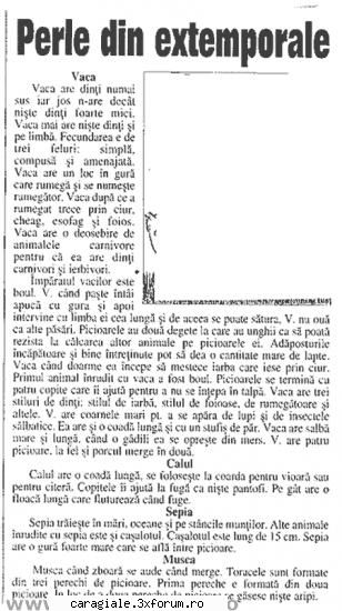 Imagini - caterink astea...sau prea prosti!! - Recycle Bin Laden