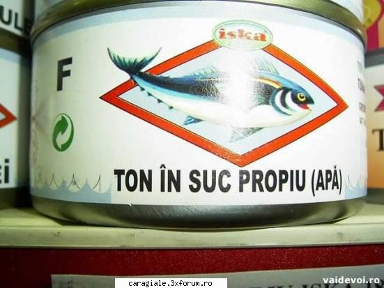 Imagini - barby_adry - Recycle Bin Laden
