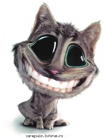 Imagini - oo...how cute....:))))) - Recycle Bin Laden