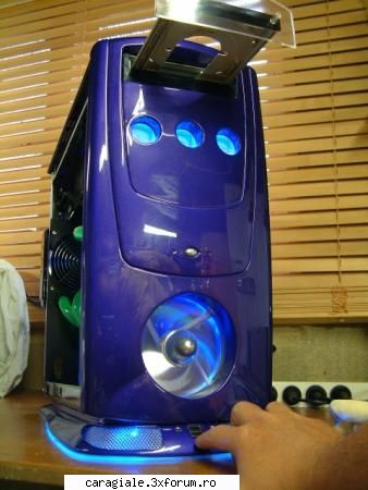 Imagini - Tomi - Recycle Bin Laden