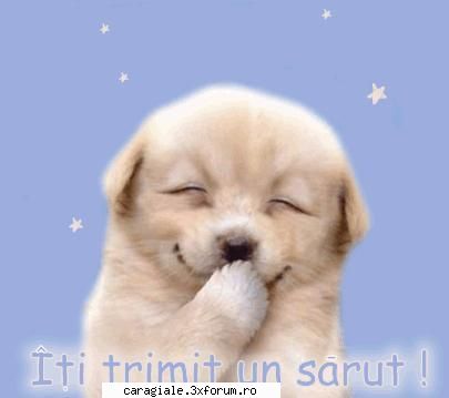 Imagini care reprezinta DRAGOSTEA ! - he is so cute:D - Recycle Bin Laden