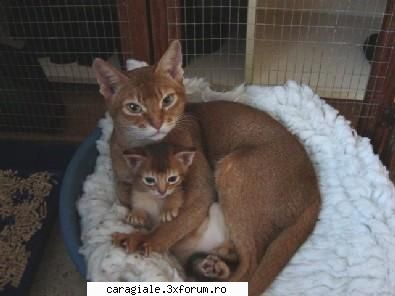 Imagini care reprezinta DRAGOSTEA ! - c?..animalele nu s iubesc? =D shweetie - Recycle Bin Laden