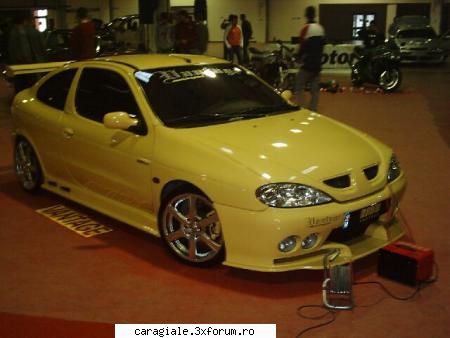 Masini - Un megane coupe - Recycle Bin Laden