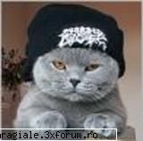 Poze/Pets - bronzata_4_jepcar - Recycle Bin Laden
