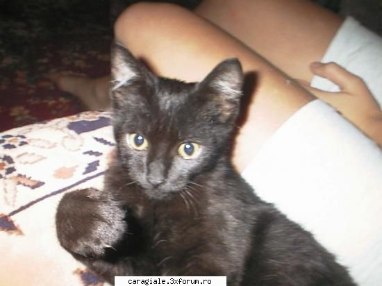 Poze/Pets - adiz - Recycle Bin Laden