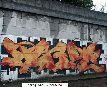 graffiti ... arta sau vandalism ??? - dritzza - Recycle Bin Laden